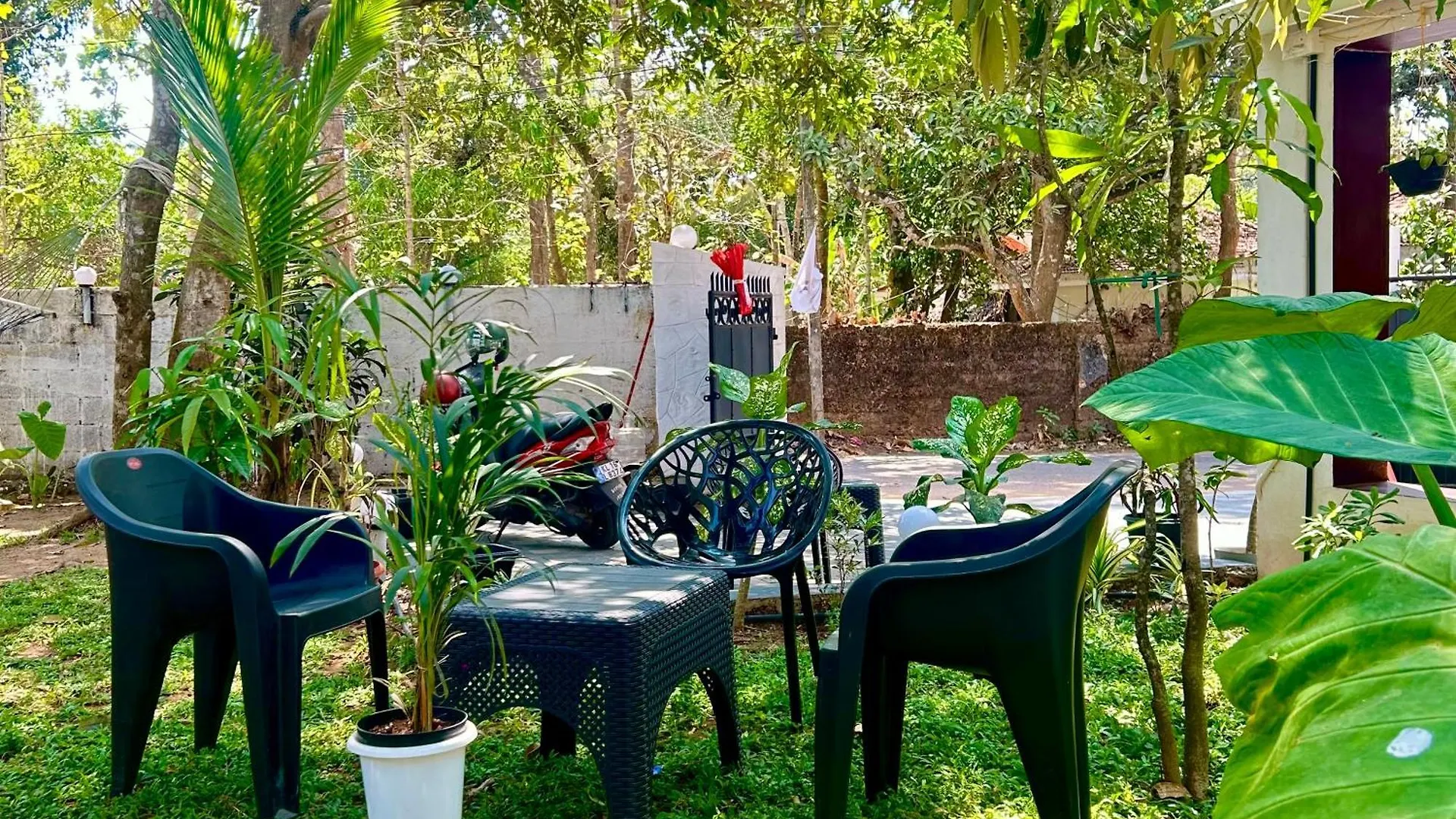 Cozy Nest Apartment Varkala